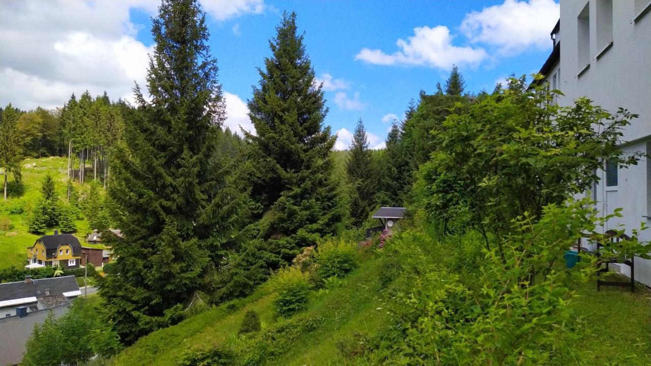 Greizer Kammhuette Gaststaette & Pension Klingenthal Exteriér fotografie