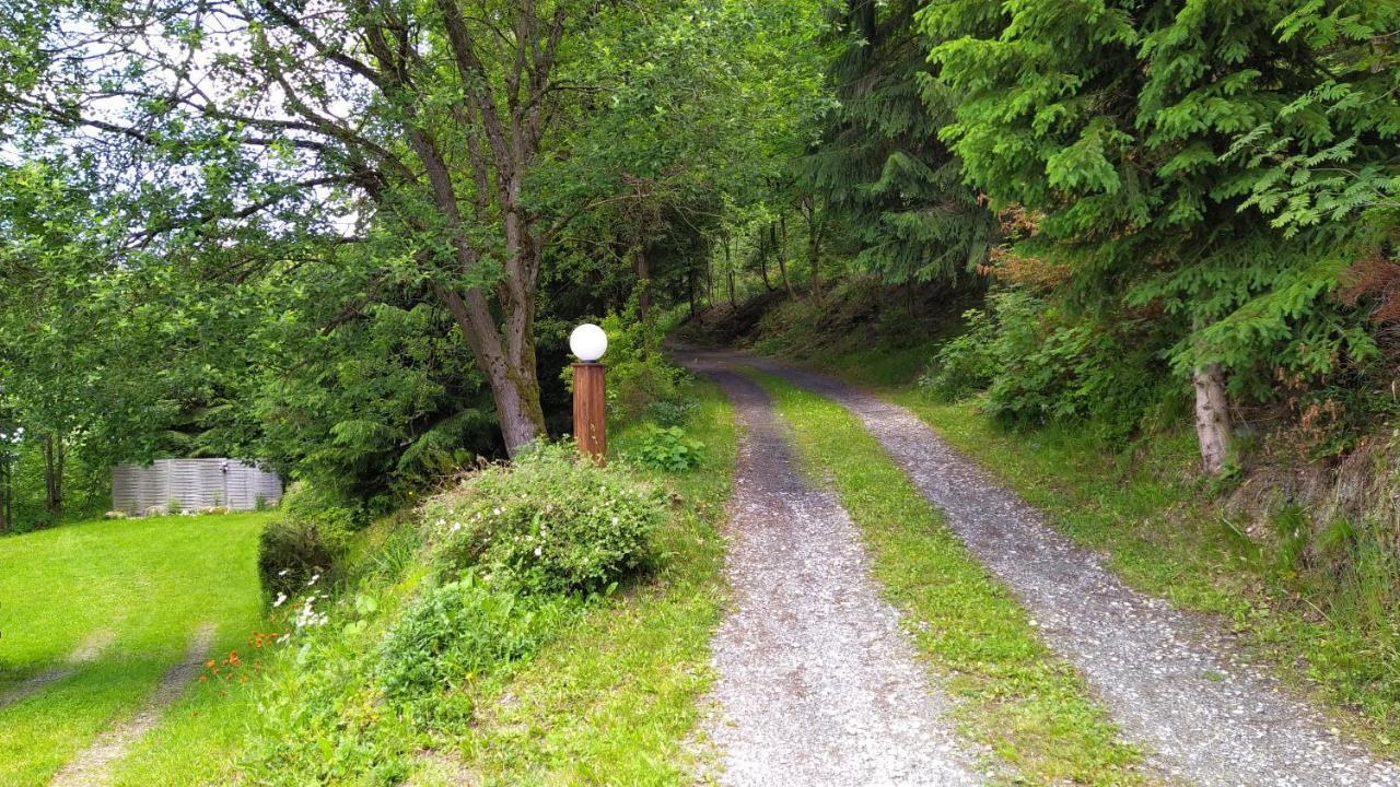 Greizer Kammhuette Gaststaette & Pension Klingenthal Exteriér fotografie