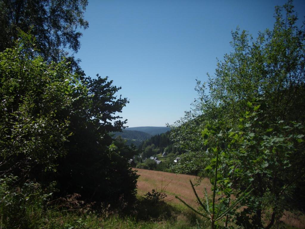Greizer Kammhuette Gaststaette & Pension Klingenthal Exteriér fotografie