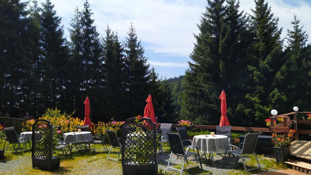 Greizer Kammhuette Gaststaette & Pension Klingenthal Exteriér fotografie