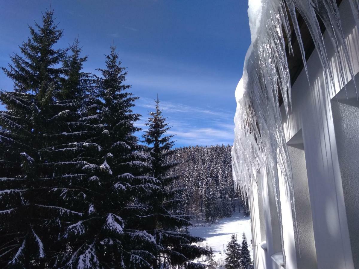 Greizer Kammhuette Gaststaette & Pension Klingenthal Exteriér fotografie